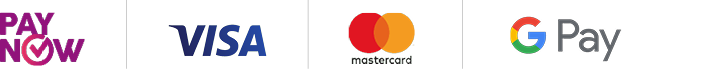 PayNow, Visa, Mastercard, Google Pay